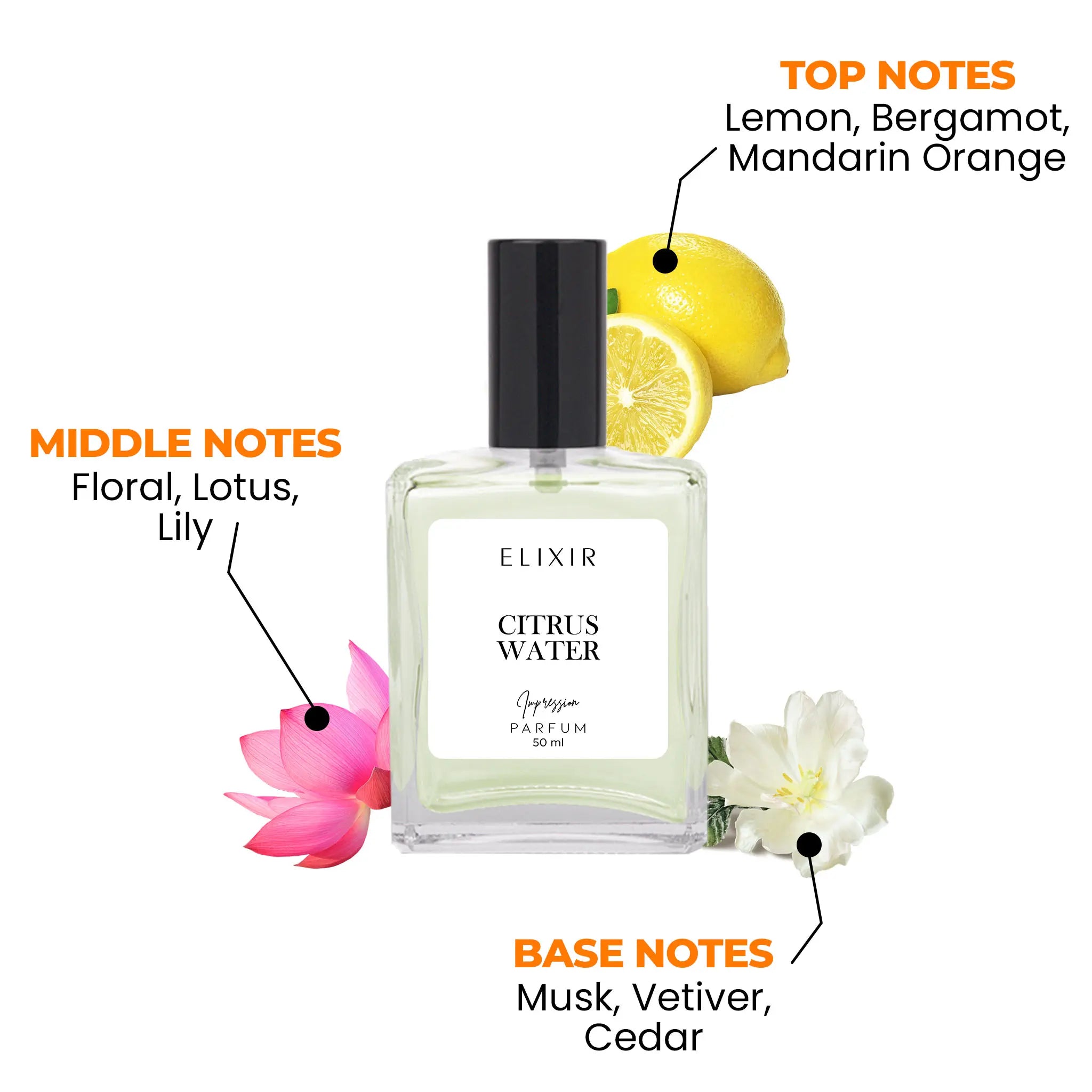 Citrus Water Issey Miyake L Eau d Issey Pour Homme Impressions