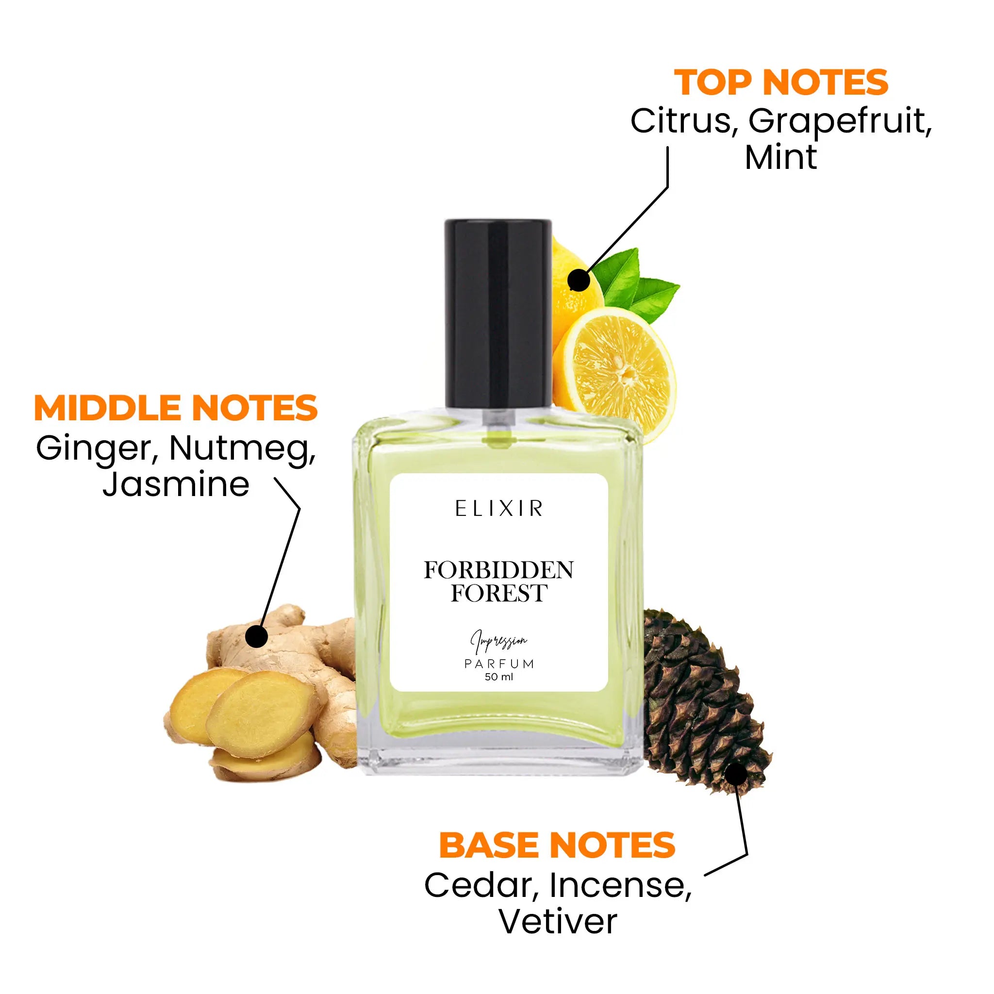 Forbidden Forest Chanel Bleu de Chanel Impressions that Last by ELIXIR Everyday scents that you can trust