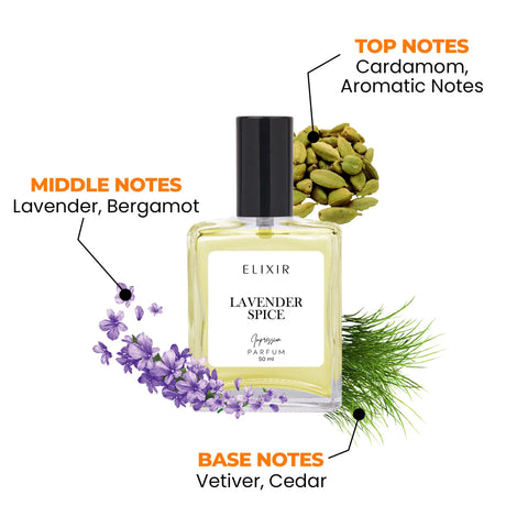 Lavender Spice (Our Impression of Yves Saint Laurent YSL La Nuit de l'Homme)